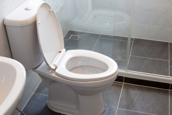 Toilet Replacement in Herndon