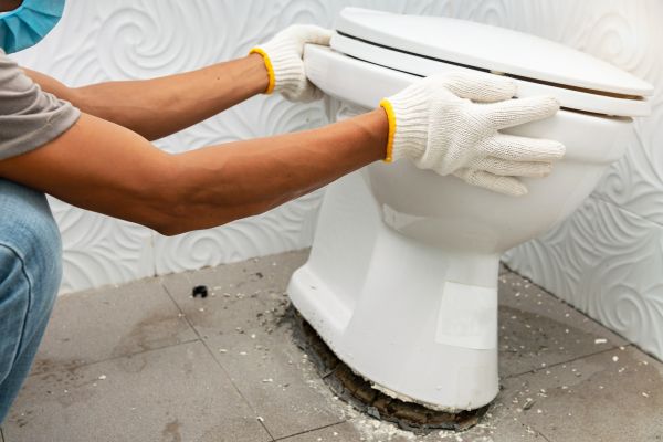 Cost of Toilet Removal in Herndon