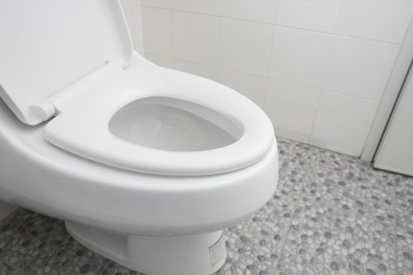 Cost of New Toilet Installation in Herndon